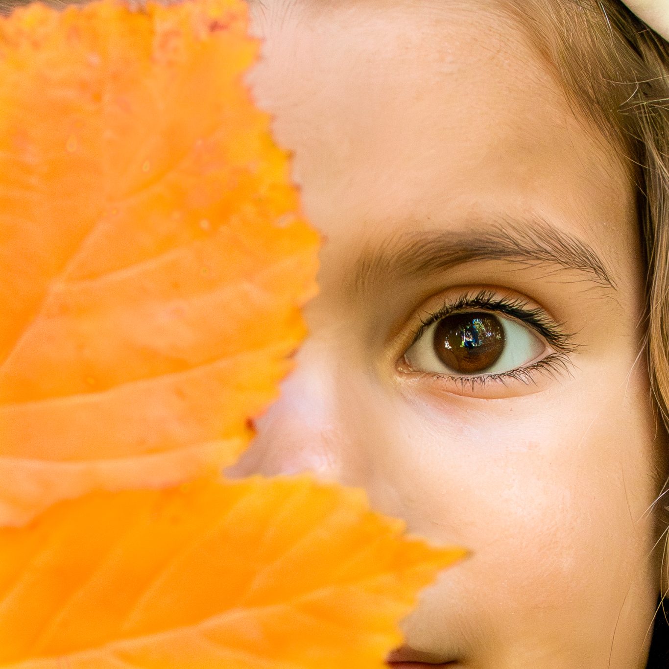 Kind Auge Detail Großaufnahme Fotografie Allgäu, Caro's Fotostüble Allgäu