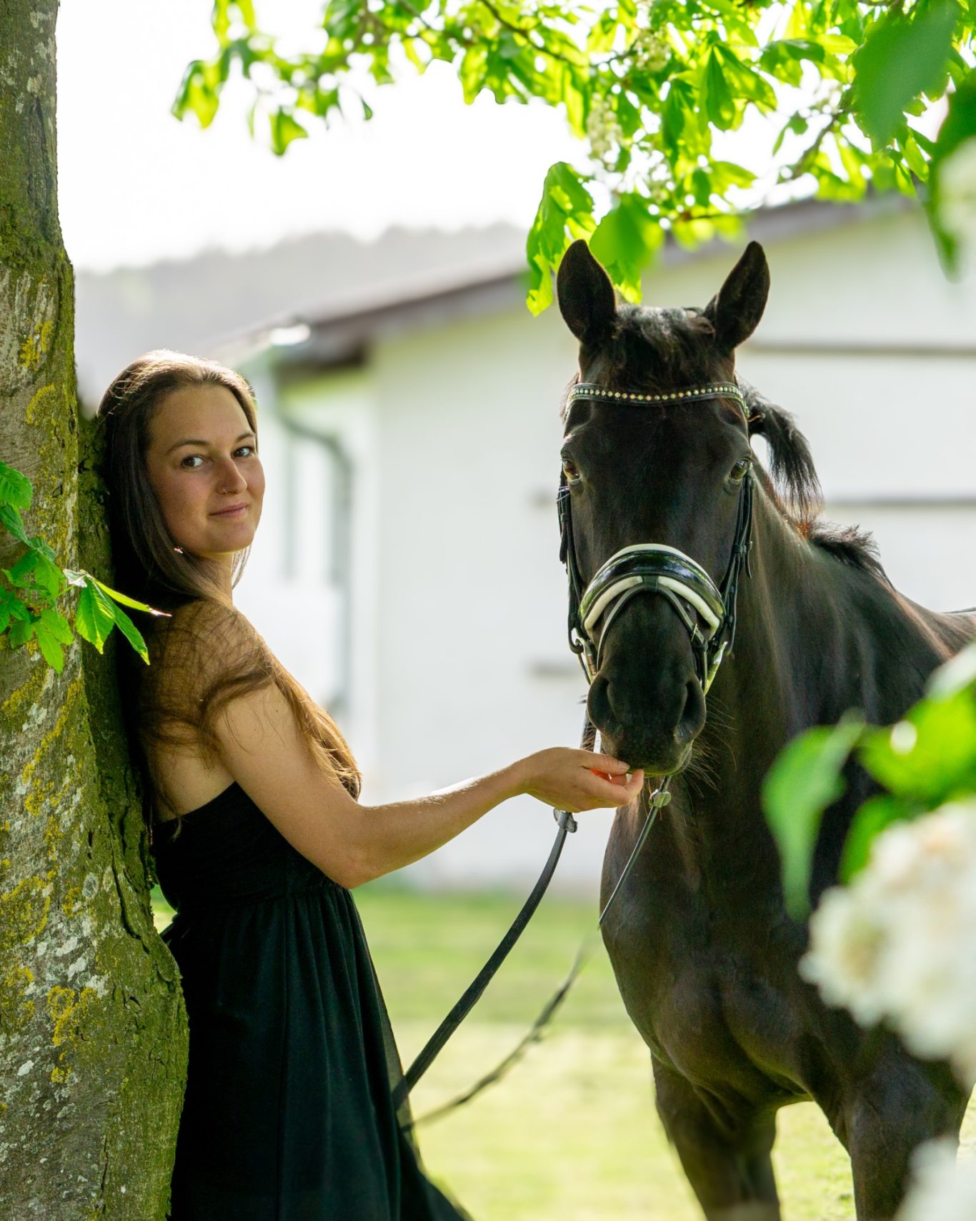 Pferd und Mensch Foto Pferdeliebe Fotografie Allgäu, Caro's Fotostüble Allgäu