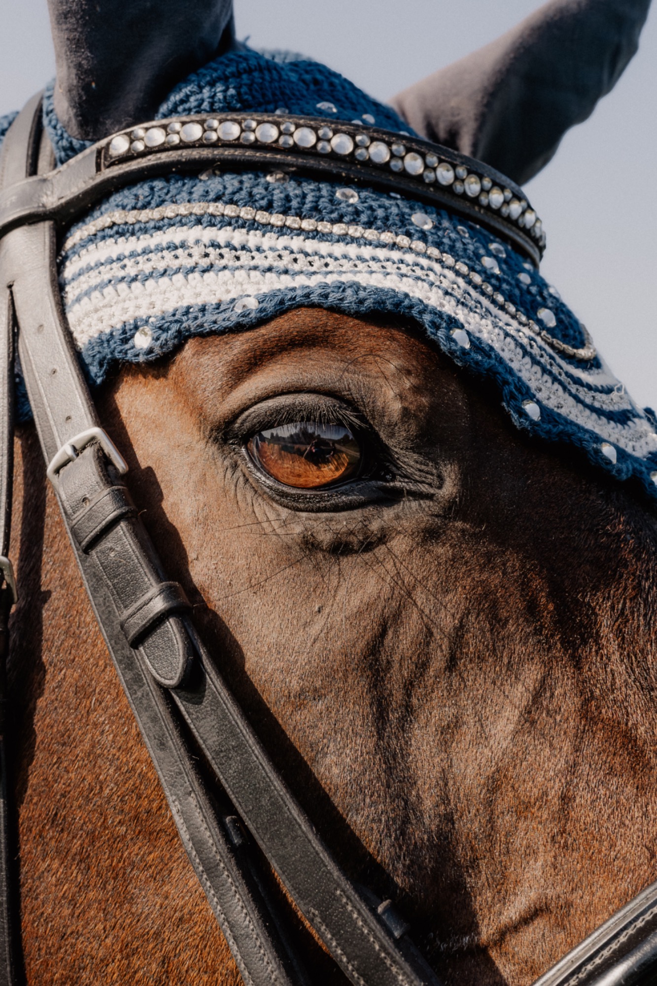 Pferdeauge Detailbild Fotografie Allgäu, Caro's Fotostüble Allgäu