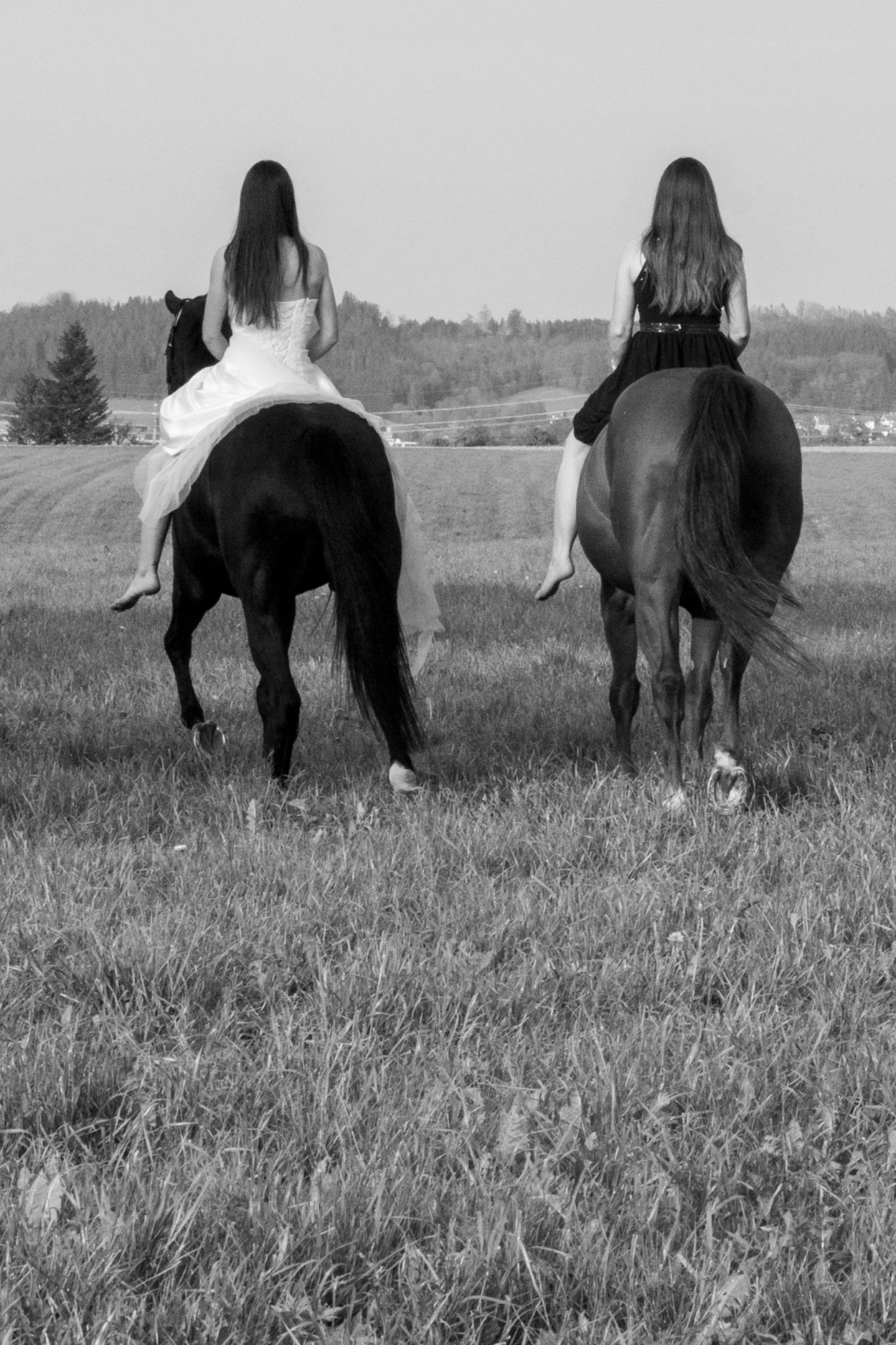 Freundinnen reiten auf Wiese Fotografie Allgäu, Caro's Fotostüble Allgäu