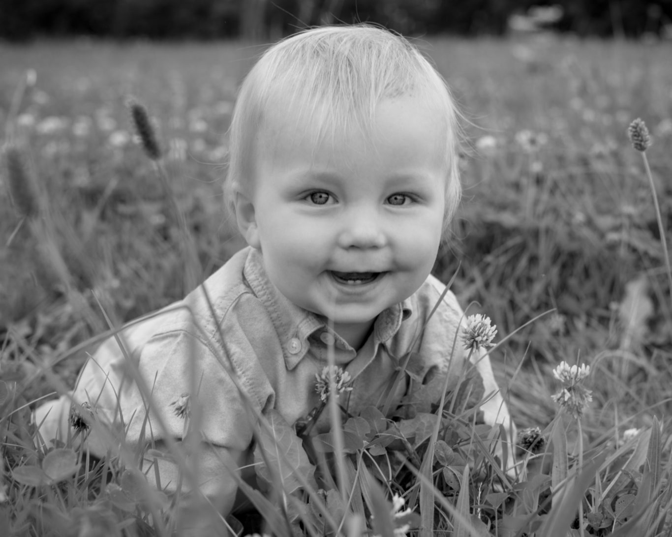 Kleinkind in Wiese sitzend Fotografie Allgäu, Caro's Fotostüble Allgäu