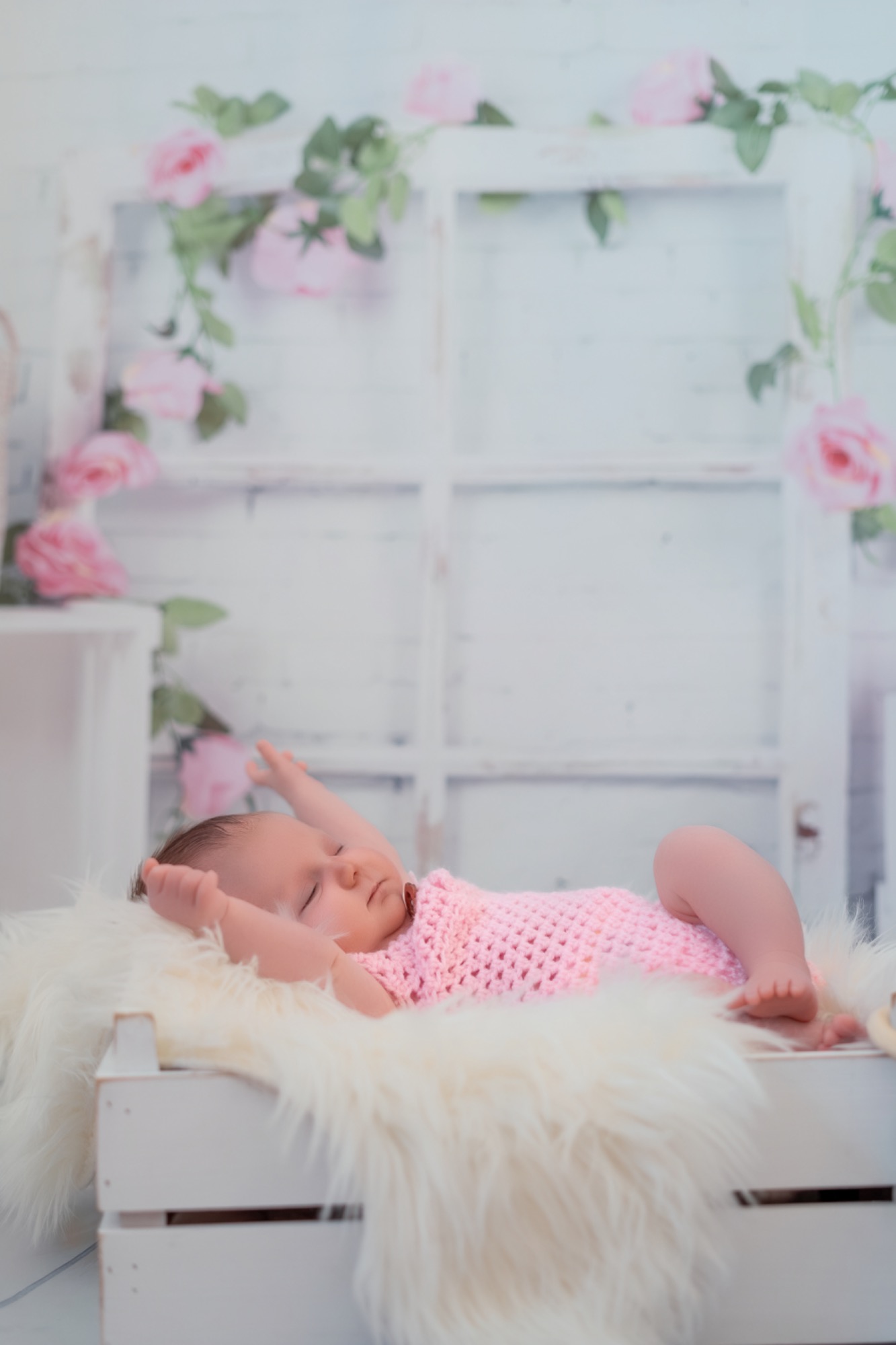 Baby in Bettchen vor Rosen Blumen Fotografie Fotografie Allgäu, Caro's Fotostüble Allgäu